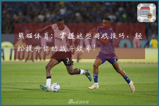 熊猫体育：掌握这些游戏技巧，轻松提升你的战斗效率！