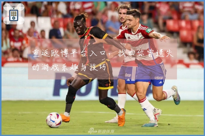 重返欧博平台入口，找回你曾遗失的游戏乐趣与技巧