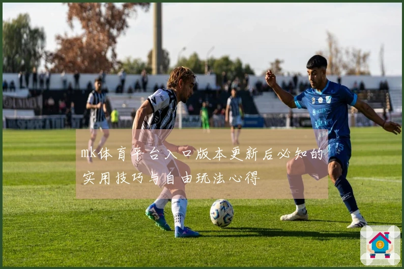 mk体育平台入口版本更新后必知的实用技巧与自由玩法心得