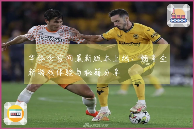 华体会官网最新版本上线，畅享全新游戏体验与秘籍分享