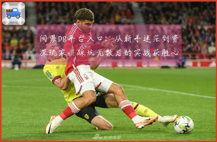 问鼎pg平台入口：从新手迷茫到资深玩家，踩坑无数后的实战获胜心得分享