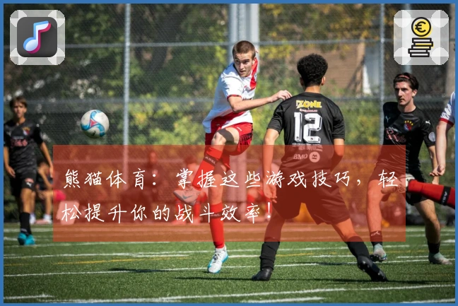 熊猫体育：掌握这些游戏技巧，轻松提升你的战斗效率！